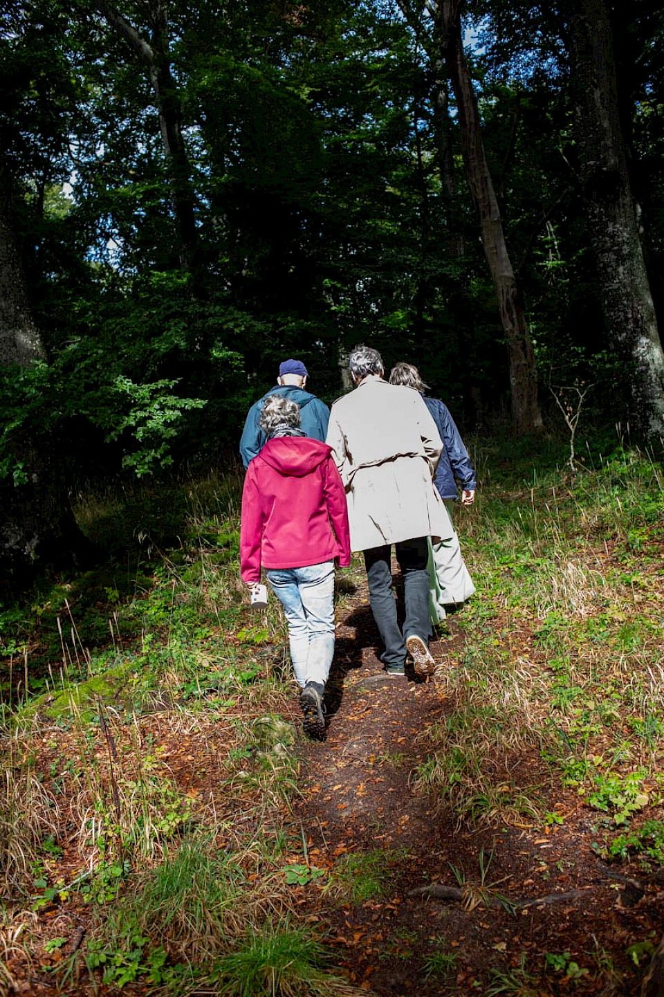 Der Weg zur Burgruine führt durch den Wald.